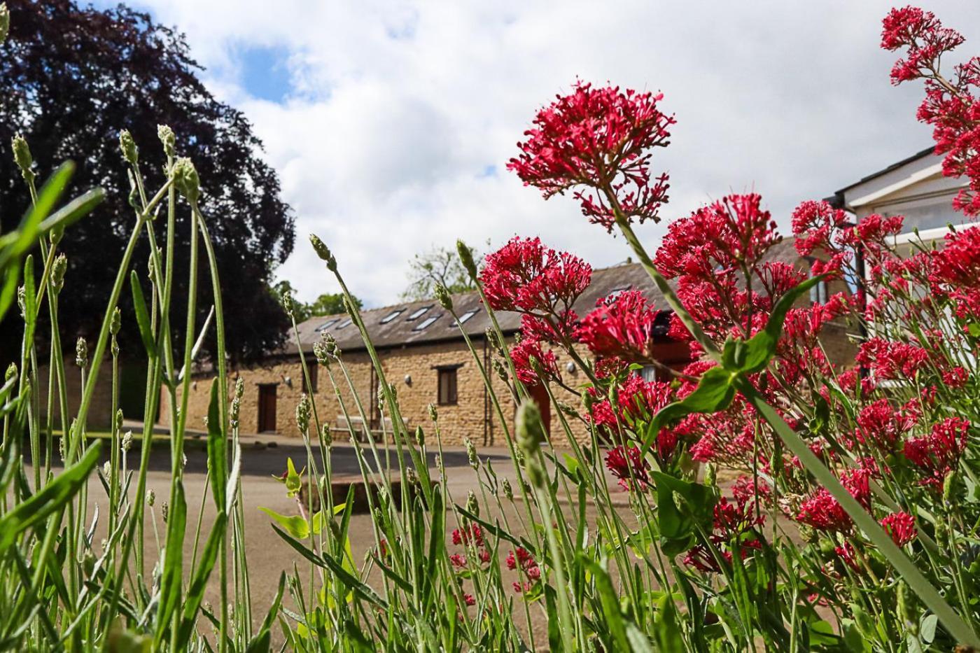 Church Farm Lodge Harrington Exteriör bild